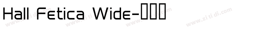 Hall Fetica Wide字体转换